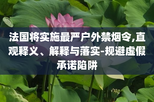 法國將實施最嚴戶外禁煙令,直觀釋義、解釋與落實-規(guī)避虛假承諾陷阱