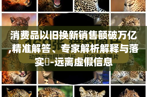 消費品以舊換新銷售額破萬億,精準解答、專家解析解釋與落實?-遠離虛假信息