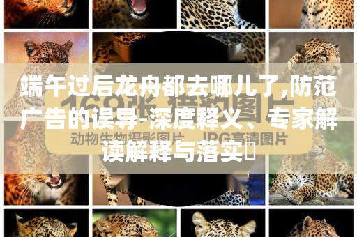 2025年7月 第221頁