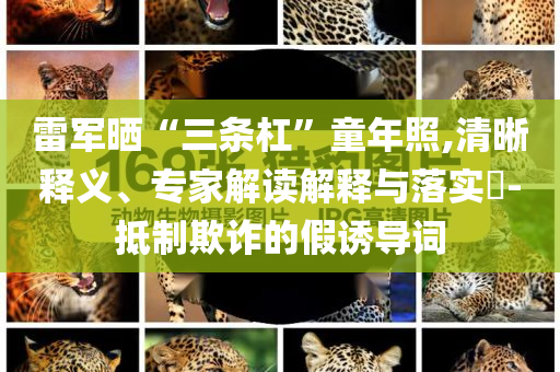 雷軍曬“三條杠”童年照,清晰釋義、專家解讀解釋與落實(shí)?-抵制欺詐的假誘導(dǎo)詞