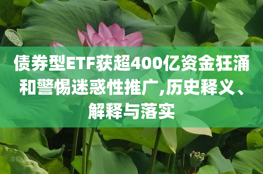 債券型ETF獲超400億資金狂涌和警惕迷惑性推廣,歷史釋義、解釋與落實