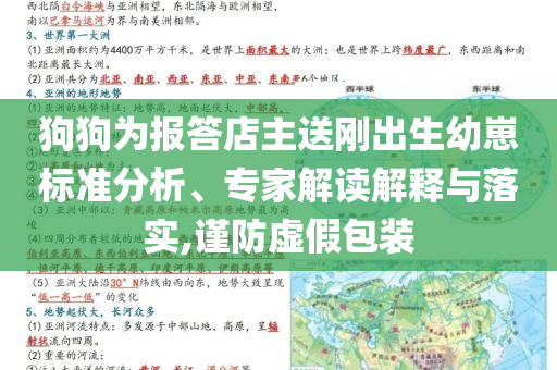 狗狗為報(bào)答店主送剛出生幼崽標(biāo)準(zhǔn)分析、專(zhuān)家解讀解釋與落實(shí),謹(jǐn)防虛假包裝