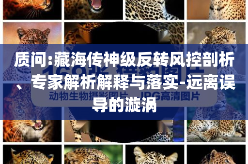 質(zhì)問:藏海傳神級反轉(zhuǎn)風(fēng)控剖析、專家解析解釋與落實-遠離誤導(dǎo)的漩渦