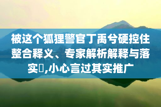 被這個(gè)狐貍警官丁禹兮硬控住整合釋義、專家解析解釋與落實(shí)?,小心言過其實(shí)推廣