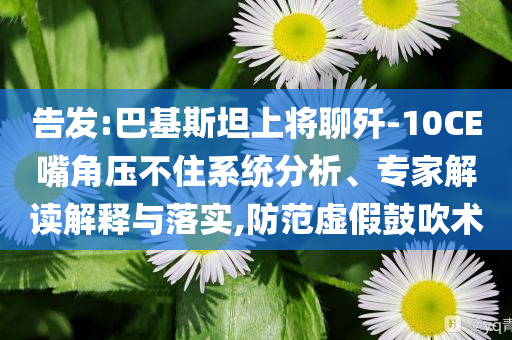 告發(fā):巴基斯坦上將聊殲-10CE嘴角壓不住系統(tǒng)分析、專家解讀解釋與落實,防范虛假鼓吹術(shù)