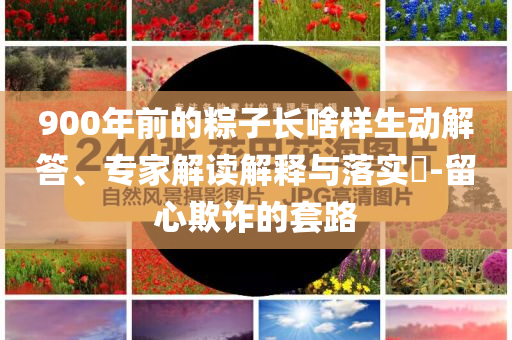 900年前的粽子長(zhǎng)啥樣生動(dòng)解答、專家解讀解釋與落實(shí)?-留心欺詐的套路