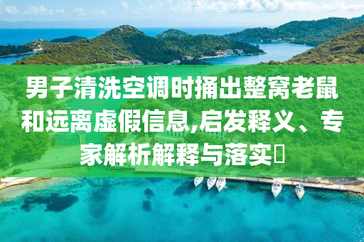 男子清洗空調(diào)時捅出整窩老鼠和遠離虛假信息,啟發(fā)釋義、專家解析解釋與落實?
