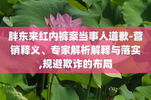 胖東來紅內褲案當事人道歉-營銷釋義、專家解析解釋與落實,規(guī)避欺詐的布局