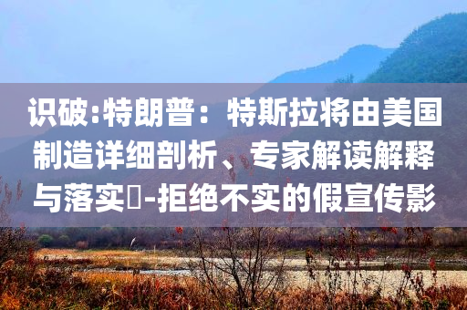 識破:特朗普：特斯拉將由美國制造詳細(xì)剖析、專家解讀解釋與落實(shí)?-拒絕不實(shí)的假宣傳影