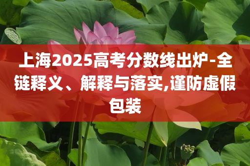 上海2025高考分數線出爐-全鏈釋義、解釋與落實,謹防虛假包裝