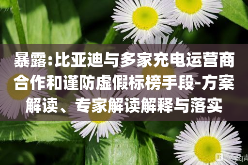 暴露:比亞迪與多家充電運營商合作和謹防虛假標榜手段-方案解讀、專家解讀解釋與落實