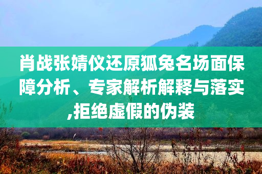 肖戰(zhàn)張婧儀還原狐兔名場面保障分析、專家解析解釋與落實(shí),拒絕虛假的偽裝