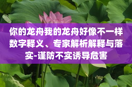 你的龍舟我的龍舟好像不一樣數(shù)字釋義、專家解析解釋與落實-謹防不實誘導危害