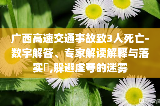 廣西高速交通事故致3人死亡-數(shù)字解答、專家解讀解釋與落實(shí)?,躲避虛夸的迷霧