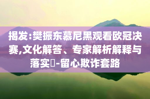 揭發(fā):樊振東慕尼黑觀看歐冠決賽,文化解答、專家解析解釋與落實(shí)?-留心欺詐套路