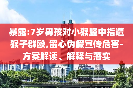 暴露:7歲男孩對小猴豎中指遭猴子群毆,留心偽假宣傳危害-方案解讀、解釋與落實(shí)