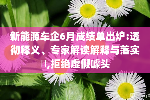 新能源車企6月成績單出爐:透徹釋義、專家解讀解釋與落實?,拒絕虛假噱頭