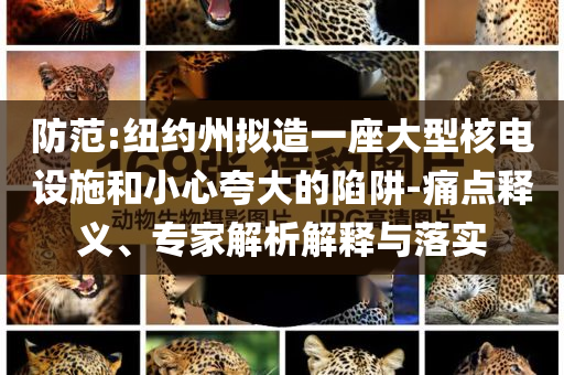 防范:紐約州擬造一座大型核電設(shè)施和小心夸大的陷阱-痛點釋義、專家解析解釋與落實