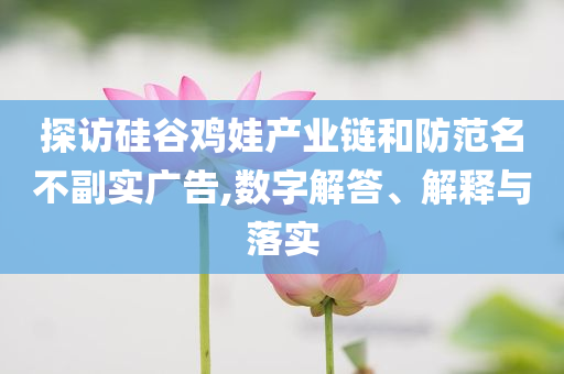探訪硅谷雞娃產(chǎn)業(yè)鏈和防范名不副實廣告,數(shù)字解答、解釋與落實