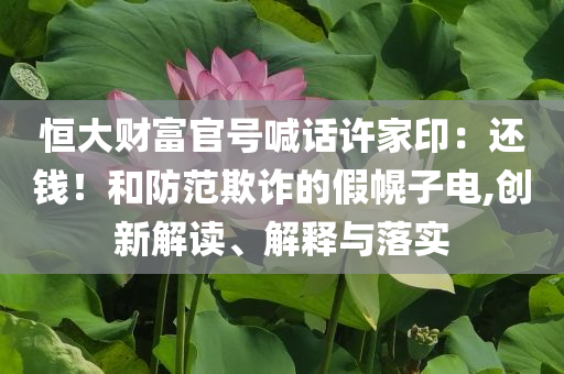 恒大財富官號喊話許家?。哼€錢！和防范欺詐的假幌子電,創(chuàng)新解讀、解釋與落實
