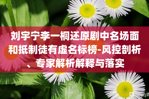 劉宇寧李一桐還原劇中名場(chǎng)面和抵制徒有虛名標(biāo)榜-風(fēng)控剖析、專家解析解釋與落實(shí)