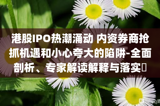 港股IPO熱潮涌動 內(nèi)資券商搶抓機遇和小心夸大的陷阱-全面剖析、專家解讀解釋與落實?