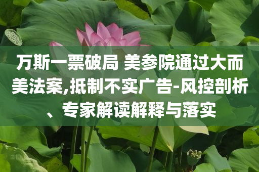 萬斯一票破局 美參院通過大而美法案,抵制不實廣告-風(fēng)控剖析、專家解讀解釋與落實