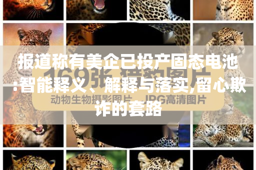 報(bào)道稱有美企已投產(chǎn)固態(tài)電池:智能釋義、解釋與落實(shí),留心欺詐的套路