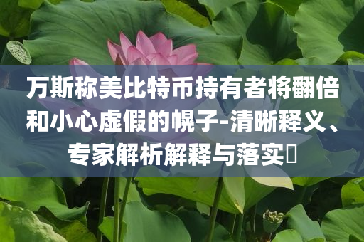 萬斯稱美比特幣持有者將翻倍和小心虛假的幌子-清晰釋義、專家解析解釋與落實(shí)?