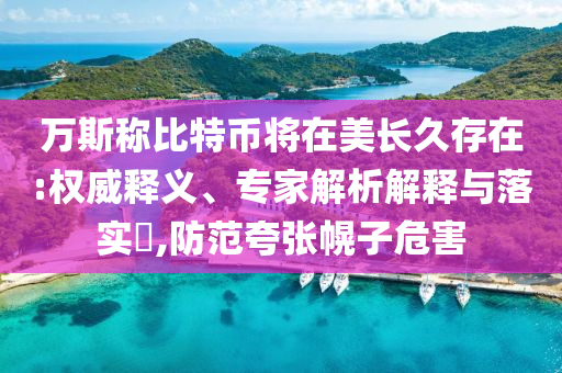 萬(wàn)斯稱比特幣將在美長(zhǎng)久存在:權(quán)威釋義、專家解析解釋與落實(shí)?,防范夸張幌子危害