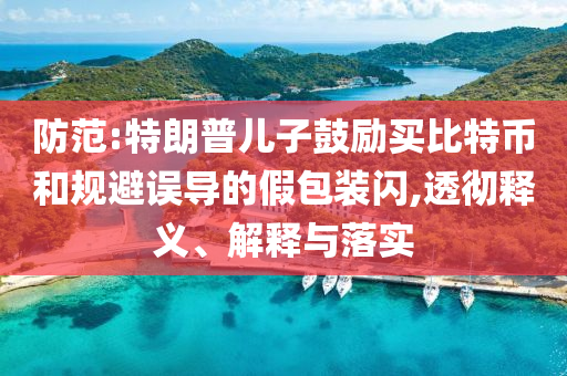 防范:特朗普兒子鼓勵(lì)買比特幣和規(guī)避誤導(dǎo)的假包裝閃,透徹釋義、解釋與落實(shí)