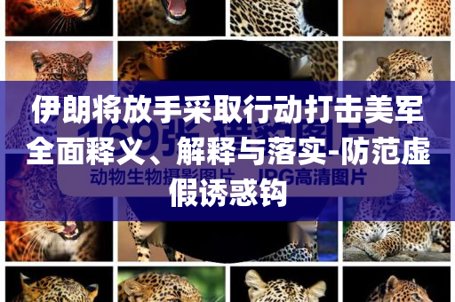 伊朗將放手采取行動打擊美軍全面釋義、解釋與落實-防范虛假誘惑鉤