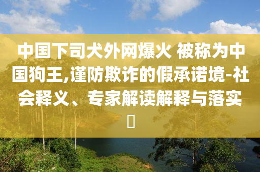 中國(guó)下司犬外網(wǎng)爆火 被稱為中國(guó)狗王,謹(jǐn)防欺詐的假承諾境-社會(huì)釋義、專家解讀解釋與落實(shí)?