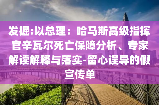 發(fā)掘:以總理：哈馬斯高級(jí)指揮官辛瓦爾死亡保障分析、專(zhuān)家解讀解釋與落實(shí)-留心誤導(dǎo)的假宣傳單