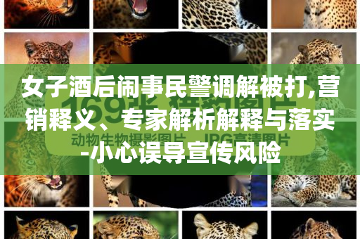 女子酒后鬧事民警調(diào)解被打,營銷釋義、專家解析解釋與落實(shí)-小心誤導(dǎo)宣傳風(fēng)險(xiǎn)