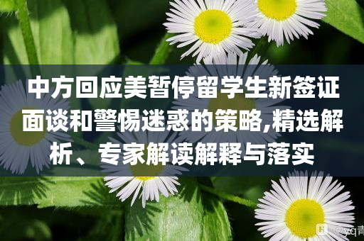 中方回應(yīng)美暫停留學(xué)生新簽證面談和警惕迷惑的策略,精選解析、專家解讀解釋與落實(shí)