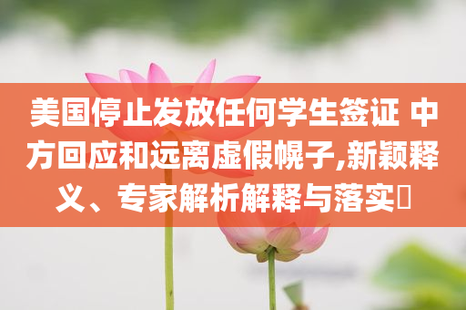 美國停止發(fā)放任何學生簽證 中方回應和遠離虛假幌子,新穎釋義、專家解析解釋與落實?
