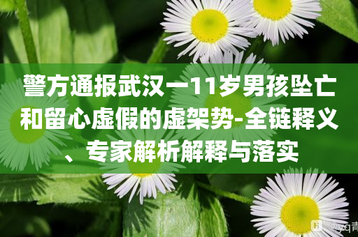 警方通報武漢一11歲男孩墜亡和留心虛假的虛架勢-全鏈釋義、專家解析解釋與落實