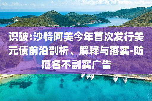 識破:沙特阿美今年首次發(fā)行美元債前沿剖析、解釋與落實-防范名不副實廣告