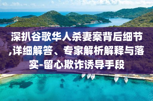 深扒谷歌華人殺妻案背后細(xì)節(jié),詳細(xì)解答、專(zhuān)家解析解釋與落實(shí)-留心欺詐誘導(dǎo)手段