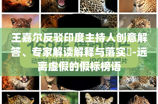 王嘉爾反駁印度主持人創(chuàng)意解答、專(zhuān)家解讀解釋與落實(shí)?-遠(yuǎn)離虛假的假標(biāo)榜語(yǔ)