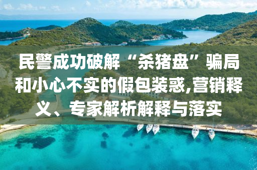 民警成功破解“殺豬盤”騙局和小心不實的假包裝惑,營銷釋義、專家解析解釋與落實