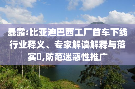 暴露:比亞迪巴西工廠首車下線行業(yè)釋義、專家解讀解釋與落實(shí)?,防范迷惑性推廣