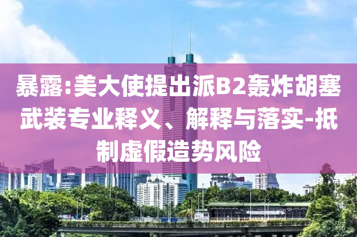 暴露:美大使提出派B2轟炸胡塞武裝專業(yè)釋義、解釋與落實(shí)-抵制虛假造勢(shì)風(fēng)險(xiǎn)