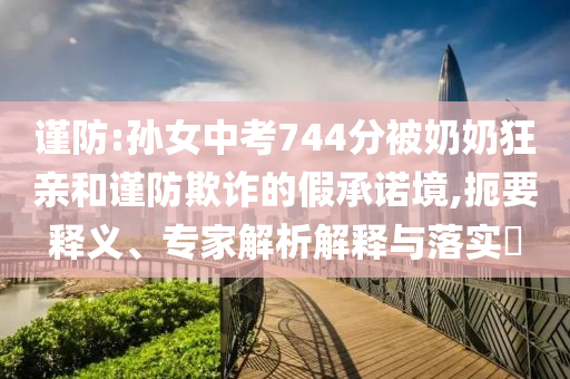 謹(jǐn)防:孫女中考744分被奶奶狂親和謹(jǐn)防欺詐的假承諾境,扼要釋義、專家解析解釋與落實(shí)?