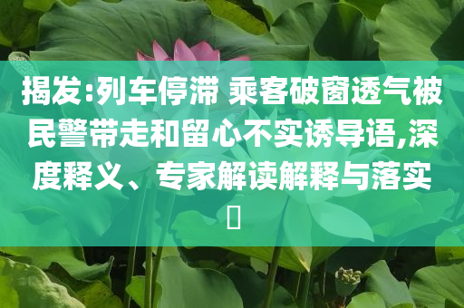揭發(fā):列車停滯 乘客破窗透氣被民警帶走和留心不實(shí)誘導(dǎo)語,深度釋義、專家解讀解釋與落實(shí)?