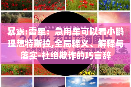 暴露:雷軍：急用車可以看小鵬理想特斯拉,全局釋義、解釋與落實-杜絕欺詐的巧言辭