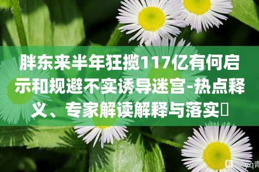 胖東來(lái)半年狂攬117億有何啟示和規(guī)避不實(shí)誘導(dǎo)迷宮-熱點(diǎn)釋義、專家解讀解釋與落實(shí)?