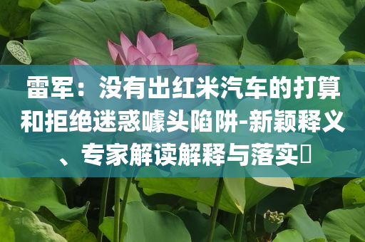 雷軍：沒有出紅米汽車的打算和拒絕迷惑噱頭陷阱-新穎釋義、專家解讀解釋與落實?