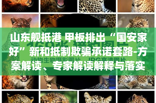 山東艦抵港 甲板排出“國(guó)安家好”新和抵制欺騙承諾套路-方案解讀、專家解讀解釋與落實(shí)